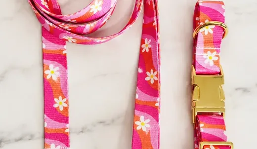 Collar y correa de tela estampada cosidos en casa