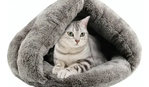 Cucha iglú de peluche con un gato adentro
