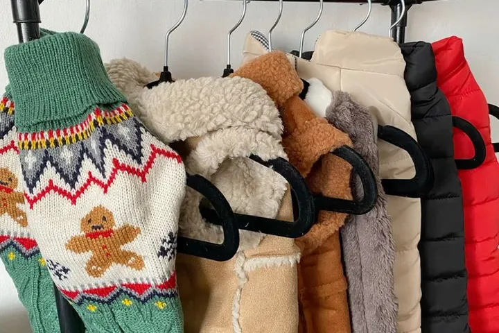 Percha con varios abrigos para perro cosidos a mano